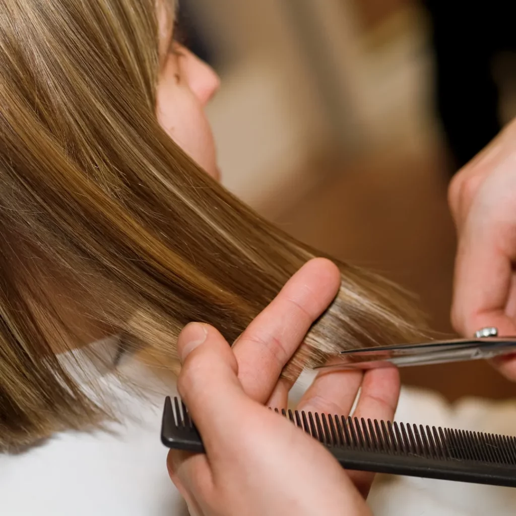 corte